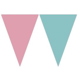 Bandeirola Rosa e Azul