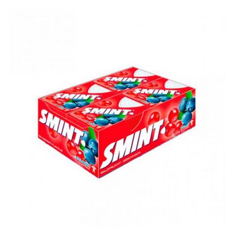 Caixa Smint Fruta Silvestre 12 Uds