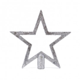 20 cms Star Auction