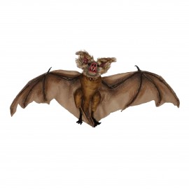 BAT 60 cm