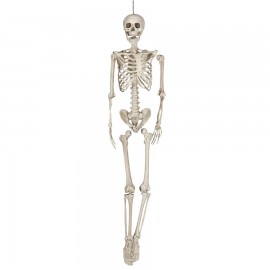 Esqueleto 160 cm
