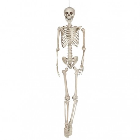 Esqueleto 160 cm