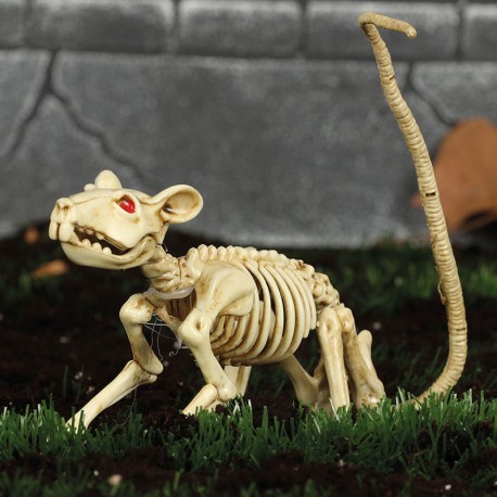 Esqueleto de rato 20 cms