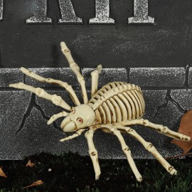 Esqueleto de aranha 24 cms