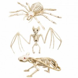 Esqueleto de rato