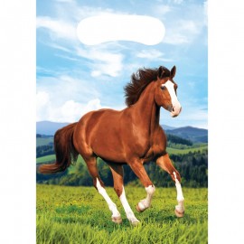 8 sacos de cavalo e pônei