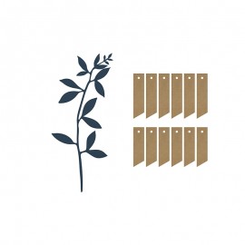 Ramos com Cartões e Cordas Decorativas