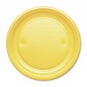 10 Pratos de Plástico 20,5 cm