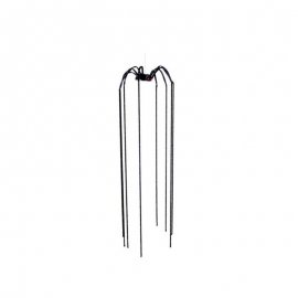 Araña Gigante Patas Largas