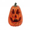 Calabaza 20 Cms