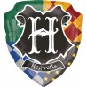 Globo Harry Potter 63 x 68 cm