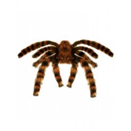 Viúva Negra Spider 90 cm