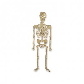 Esqueleto de parede de 32 cm