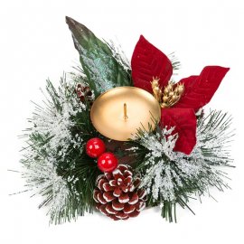 Centro Rústico de Ponsetia