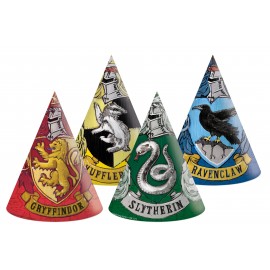 6 Chapéus Harry Potter