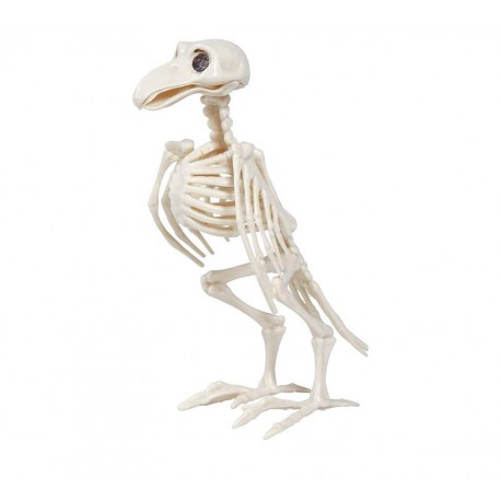 Esqueleto de Crow 20 cm
