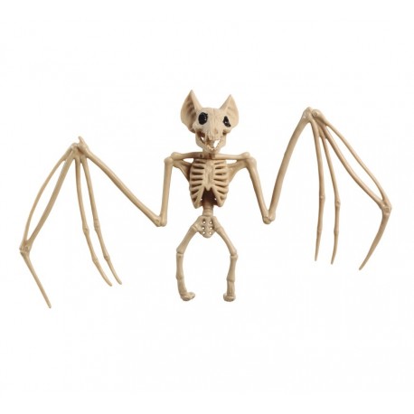 Esqueleto de Murcielago 30x16 cm