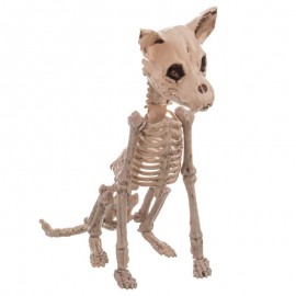 Esqueleto de cachorro 11 x 48 x 28 cm