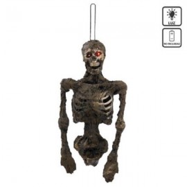 Esqueleto em vaso 28 x 13 x 55 cm