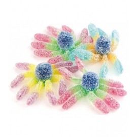 Mini octopos trolli 1 kg