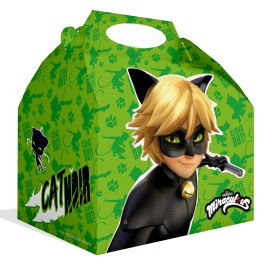 Caixa Cat Noir