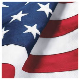 16 Guardanapos Americanas 33 cm