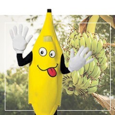 Trajes de banana