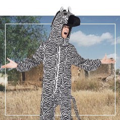 Trajes de zebra